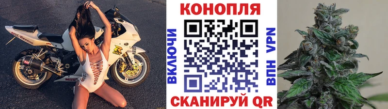 Где купить наркотики Новошахтинск МАРИХУАНА  A-PVP  ГАШ 