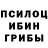 Галлюциногенные грибы мицелий Tatyana Shkil
