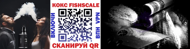 Кокаин Fish Scale  KRAKEN зеркало  Новошахтинск 
