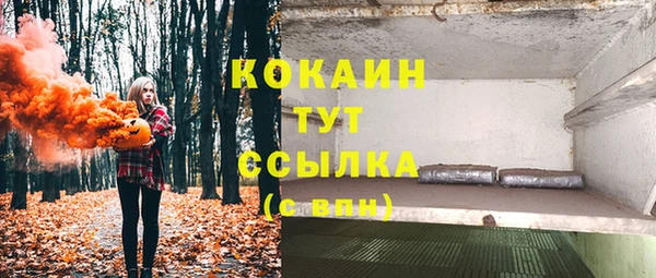 мдпв Новозыбков