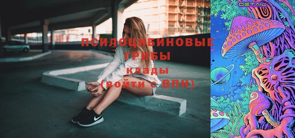 МДПВ Алзамай