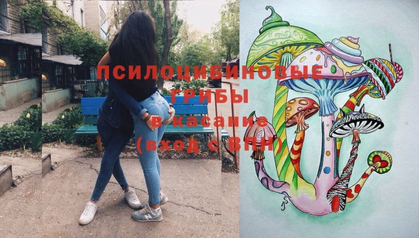 индика Алексеевка